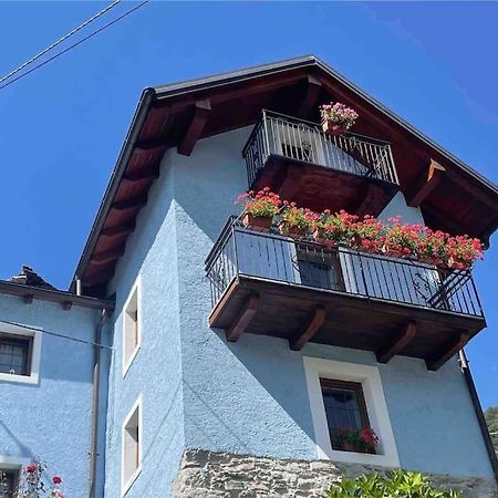 Casa Del Cios Calda E Intima Casetta Immersa Nel Verde Delle Montagne Alpe Basciumo Exteriör bild