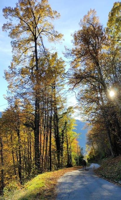 Casa Del Cios Calda E Intima Casetta Immersa Nel Verde Delle Montagne Alpe Basciumo Exteriör bild