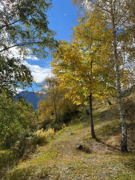 Casa Del Cios Calda E Intima Casetta Immersa Nel Verde Delle Montagne Alpe Basciumo Exteriör bild