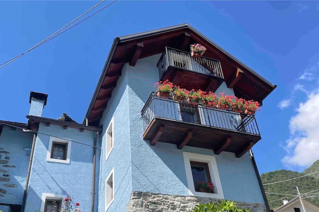 Casa Del Cios Calda E Intima Casetta Immersa Nel Verde Delle Montagne Alpe Basciumo Exteriör bild