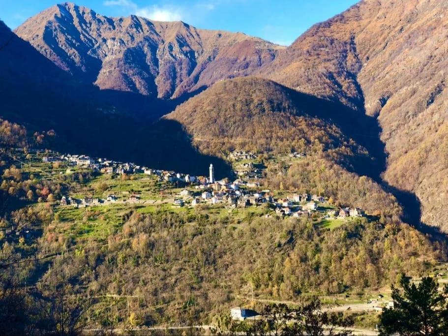 Casa Del Cios Calda E Intima Casetta Immersa Nel Verde Delle Montagne Alpe Basciumo Exteriör bild