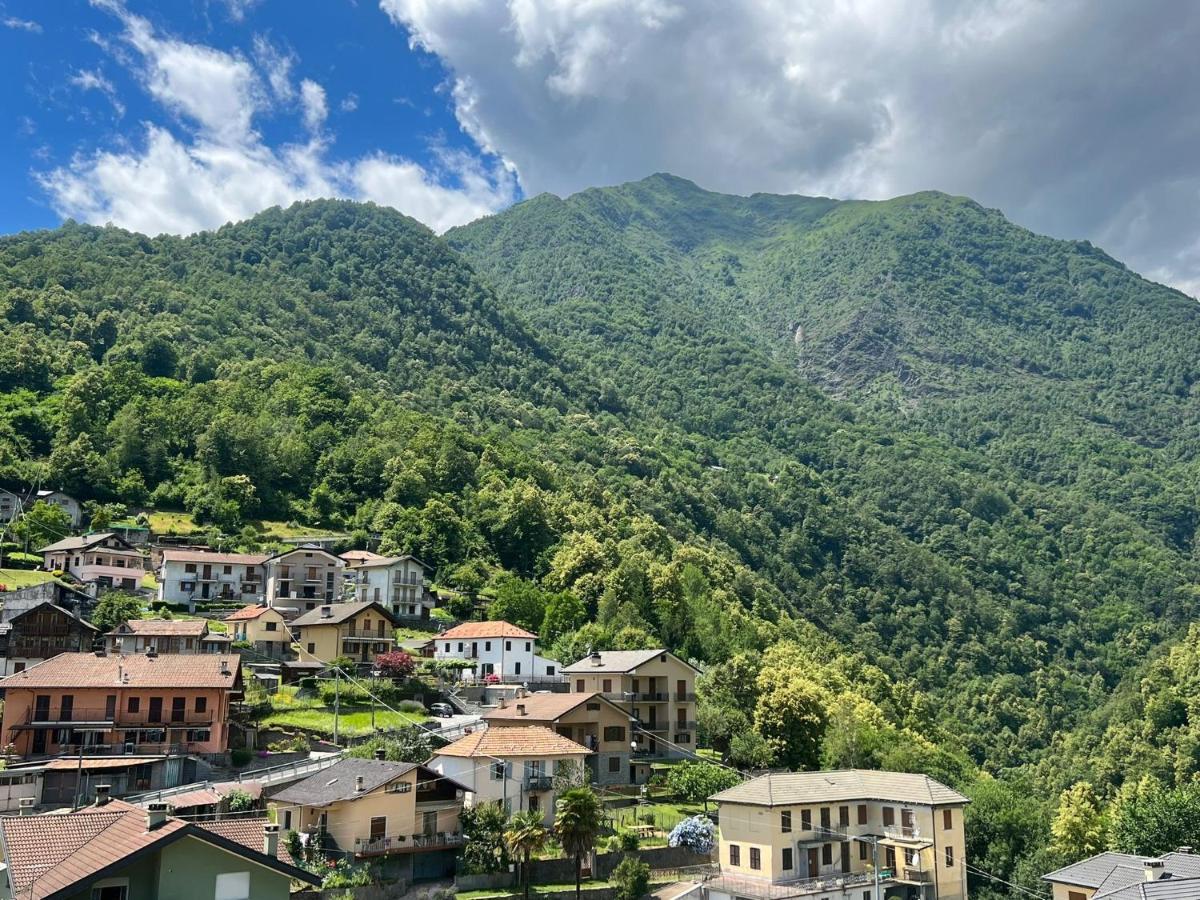 Casa Del Cios Calda E Intima Casetta Immersa Nel Verde Delle Montagne Alpe Basciumo Exteriör bild